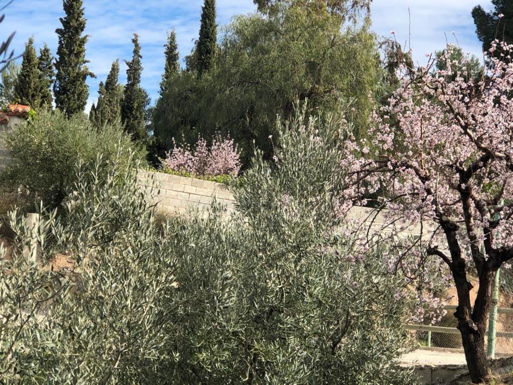Hébergement de vacances El Huerto De Maravillas *